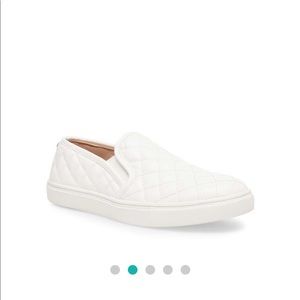 Steve Madden Ecentrcq Sneakers